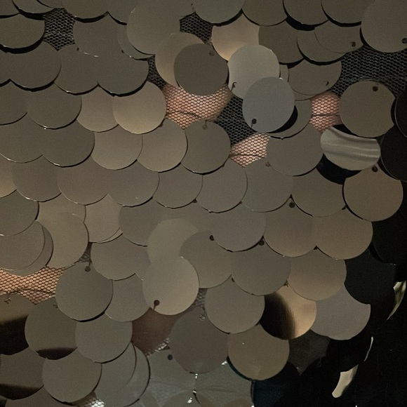 NWT Rachel Zoe Sequin Top - Picture 4 of 5